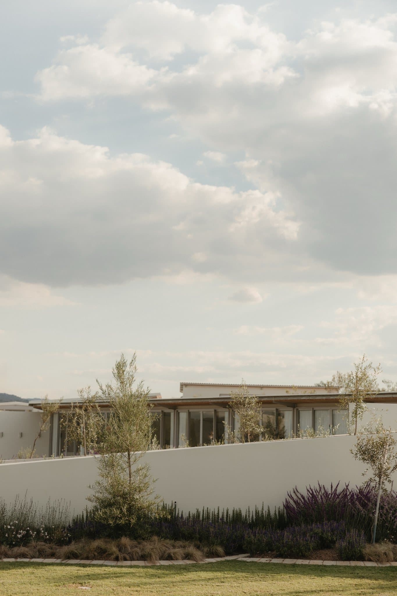 The white curved pavilion of STAY beyond a low white wall and young indigenous planting